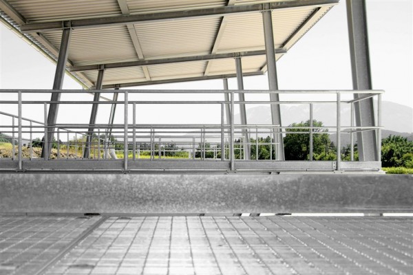 2524_bea